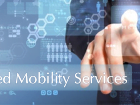How Vendors Providing Mobile Management Services Operate 26