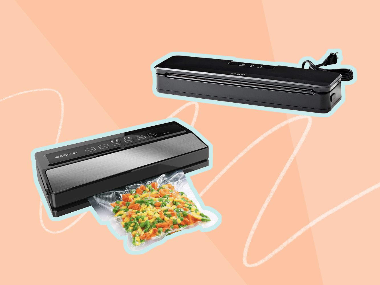 Packing School or Family Lunches With A Vacuum Food Sealer Helps Save