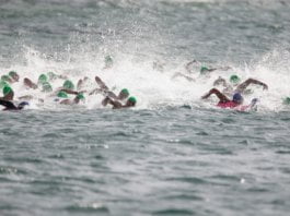 Pope tells swimmers their recreation’s something however ‘liquid’ Home 5