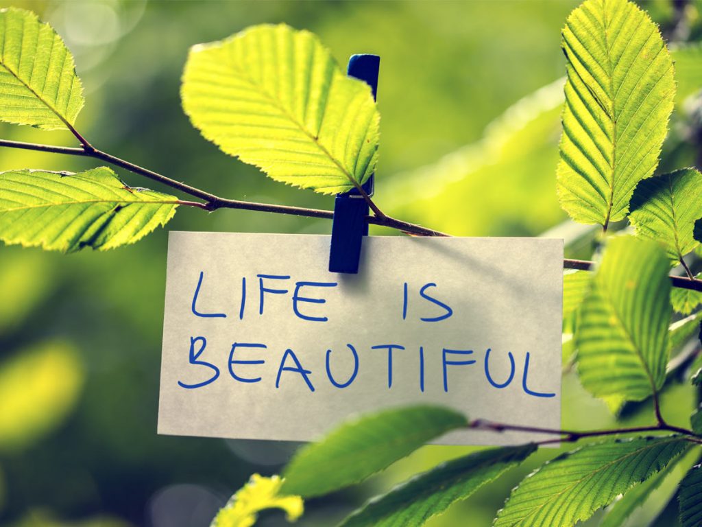 Designing Your Dream Life