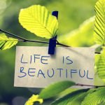 Designing Your Dream Life 8