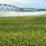 Tips For A Great Irrigation System 8