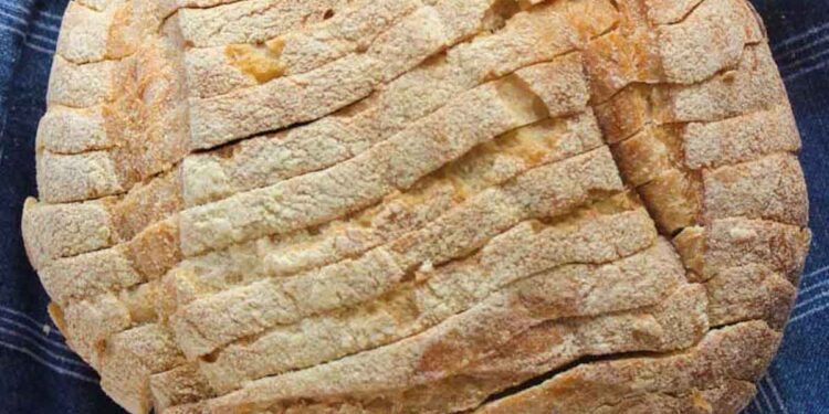 Freezing Sourdough Starter: Is it Possible?