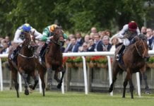 Marlborough racing tips for Thursday, July thirteen