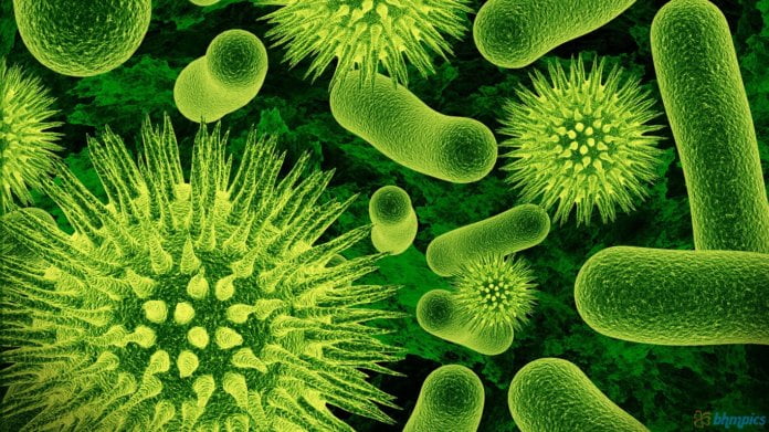 germs-1-1