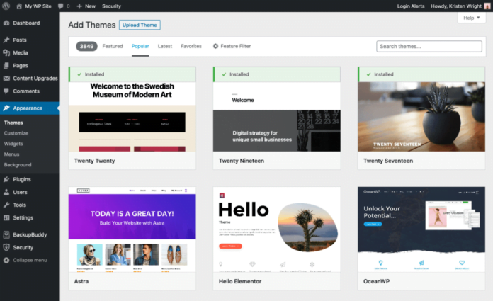 wordpress-theme-1024x625-1