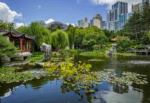 Chinese Garden – Chinese Garden Ideas for Beginners