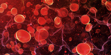 Similarities of Small Cell Cancers to Blood Cancers Could Lead to Better Treatments