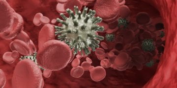 Blood Cancer Drugs Market worth USD 55.6 billion via 2025