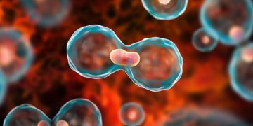 Cancer sufferers crippled via economic fees and tension as they combat for survival, charity warns