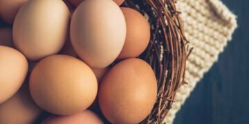 An egg a day can increase your bad cholesterol