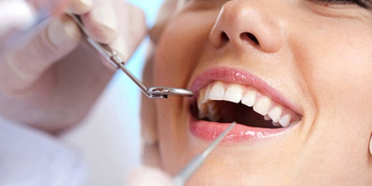 For first time considering that Nineteen Eighties, NJ hires a nation dental director