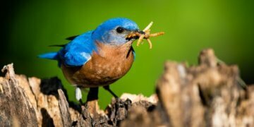 You Can Already Score These Amazing Early Bird Deals From the Nordstrom Anniversary Sale