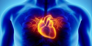 Elevated BP Linked to Risk of Valvular Heart Disease, Including Aortic Stenosis