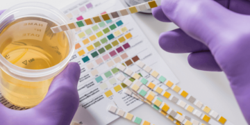 Drug Testing Laws In Georgia