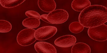 Understanding RBC Folate for Better Health