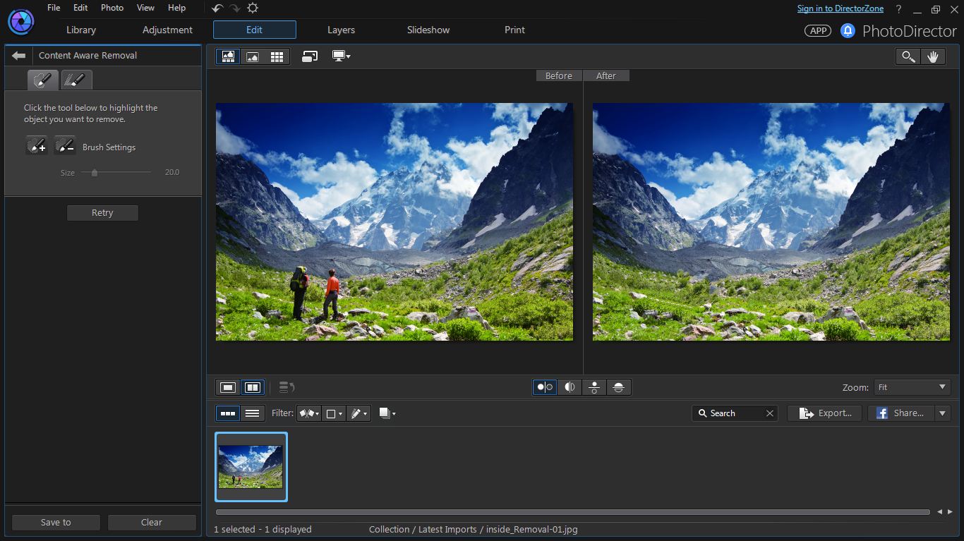 photodirector