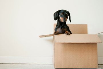 Four Tips to Move Out Quickly and Efficiently 1