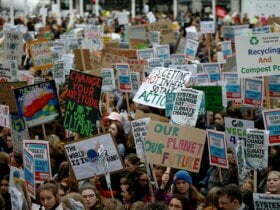 Four ways you could guide the YouthStrike4Climate movement 48