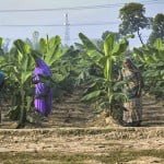 Walmart reinforces commitment to aid India's smallholder farmers 17