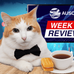 Friday Cat Blogging – 28 June 2019 16