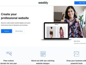 Example Of A Blog Website for a Business Owner 24