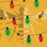 Google publicizes privateness updates as enterprise caught in cookie limbo 16