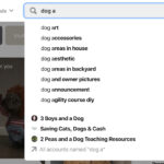 Pinterest Keyword Tool 15