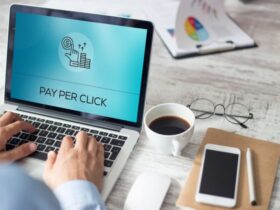Pay Per Click Consultant 12