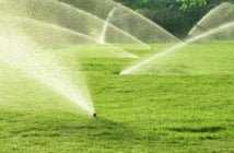 Questions to Ask Before Installing Automatic Sprinkler System 1