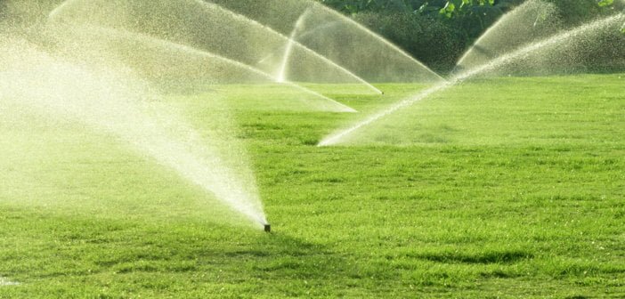 Questions to Ask Before Installing Automatic Sprinkler System 6