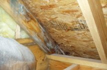 IS ATTIC MOLD DANGEROUS? 3