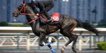 Horse Racing’s Falling Popularity