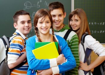 Courses in Stem: A Complete Guide 