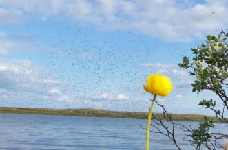 Five Reasons To Move To A Warmer Climate 7