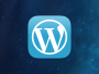 Is the wildly popular WordPress a conduit to compromise? 41