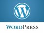 WordPress 4.8 is Now Available: Here’s What’s New 30