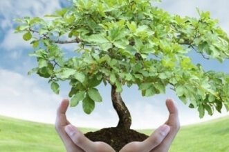 4 Ways To Be More Earth Friendly 1