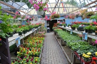 How To Choose The Right Plant Nursery 3