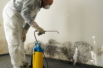 ESSENTIAL TIPS FOR HIRING A GREAT MOLD INSPECTOR 9