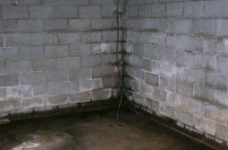 5 Dangers of a Wet and Leaky Basement 1