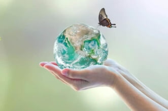 Effortless and Cost-Efficient Ways to Help Save the Planet 9