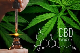 CBD and Drug Tests: How Long Does CBD Stay in Your System? 1