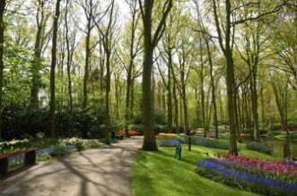 WHAT TO EXPECT FROM YOUR LANDSCAPE DECORATOR 1