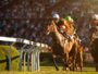 Racing Tips – Top Tipster Templegate’s best horse racing selections 47
