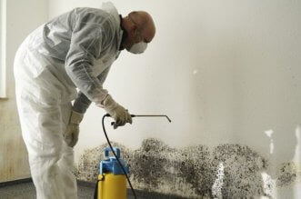 5 Reasons To Call A Professional Mold Removal Service 8