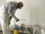 5 Reasons To Call A Professional Mold Removal Service 7