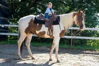 Building your dream horse ranch 3