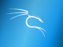 Learn Kali Linux Commands and Hack Like a Pro 18