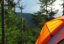 5 Camping Essentials for Summer Adventures